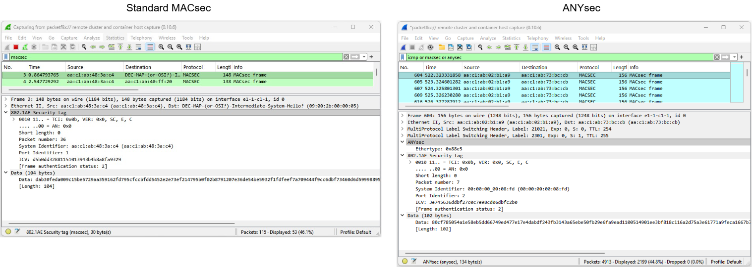 Fig. 5 - MACsec and ANYSec header stack